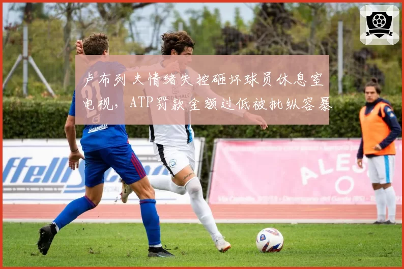 卢布列夫情绪失控砸坏球员休息室电视,ATP罚款金额过低被批纵容暴力行为