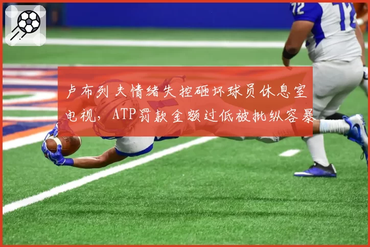 卢布列夫情绪失控砸坏球员休息室电视,ATP罚款金额过低被批纵容暴力行为