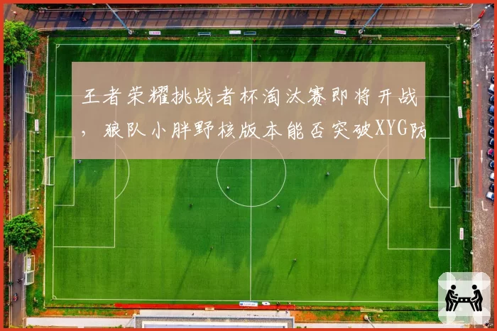 王者荣耀挑战者杯淘汰赛即将开战,狼队小胖野核版本能否突破XYG防守?