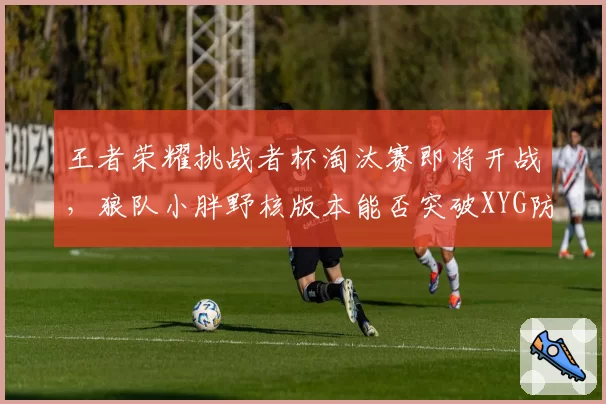 王者荣耀挑战者杯淘汰赛即将开战,狼队小胖野核版本能否突破XYG防守?