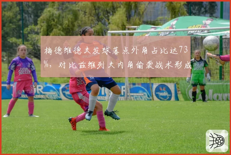 梅德维德夫发球落点外角占比达73%,对比兹维列夫内角偷袭战术形成战术分化